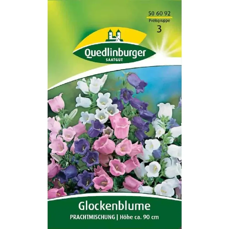 Preis Gesenkt Glockenblume, Prachtmischung